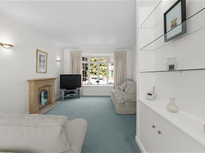 Picture 20
